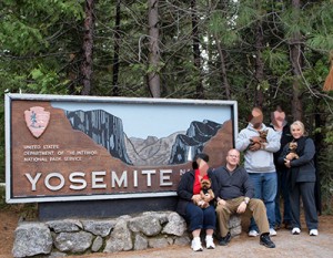 Yosemite trip